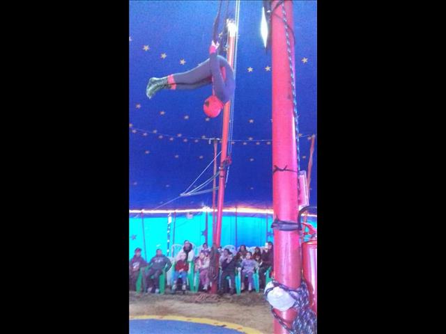 Momentos de alegria e diversão no Circo Texas