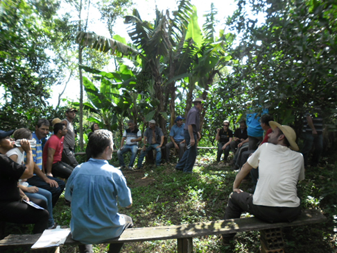 Produtores realizam excursão para conhecer a Cooperativa Ecocitrus