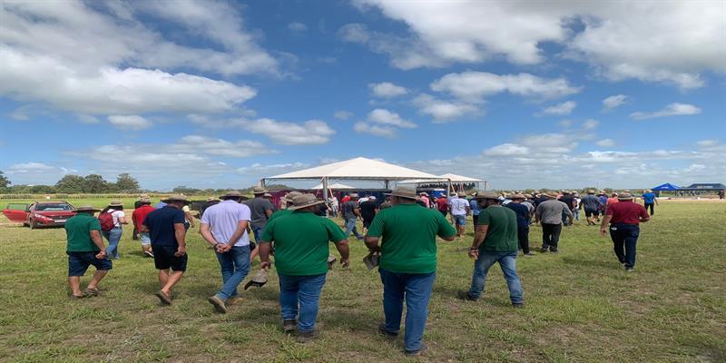Agricultores Polesinenses participaram no Dia de Campo promovido pelo IRGA em Cachoeiera do Sul/RS