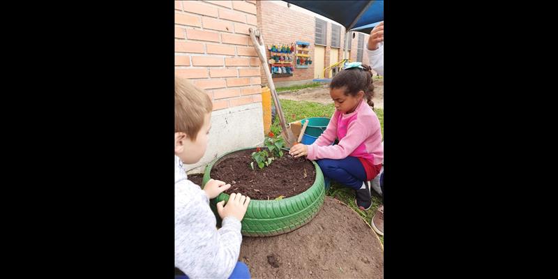 Projeto Revitalizando os Entornos da EMEI Recanto dos Sonhos