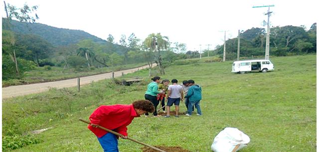 Projeto arborização estrada municipal Ribeirão/Vale Vêneto