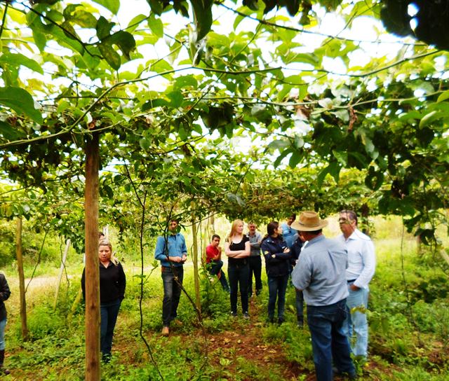 Técnicos da Emater de Polêsine e de Faxinal participaram de evento sobre produção orgânica de banana