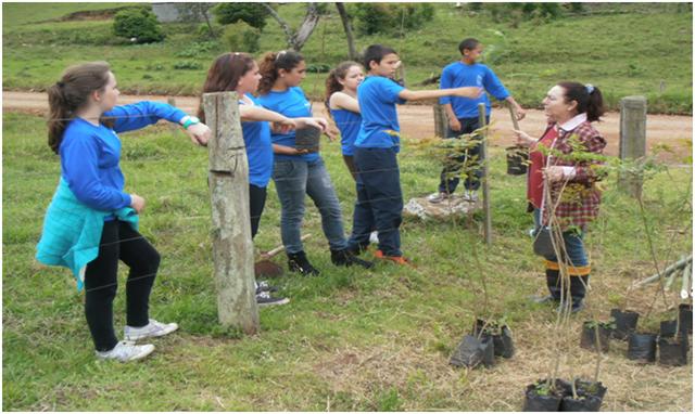 Projeto arborização estrada municipal Ribeirão/Vale Vêneto
